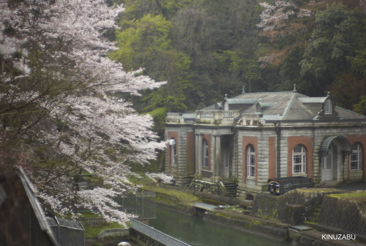 2009年京都インクライン-南禅寺-黒谷の桜