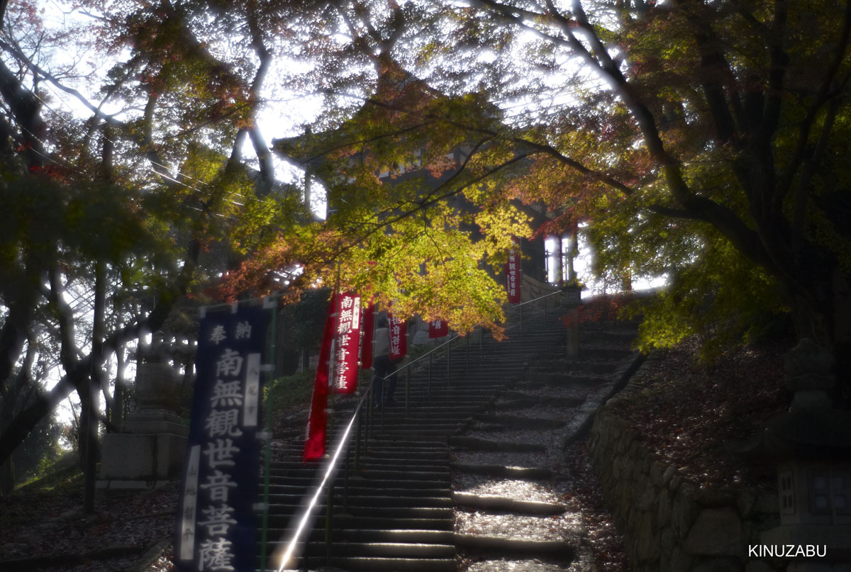 2009年三井寺の紅葉