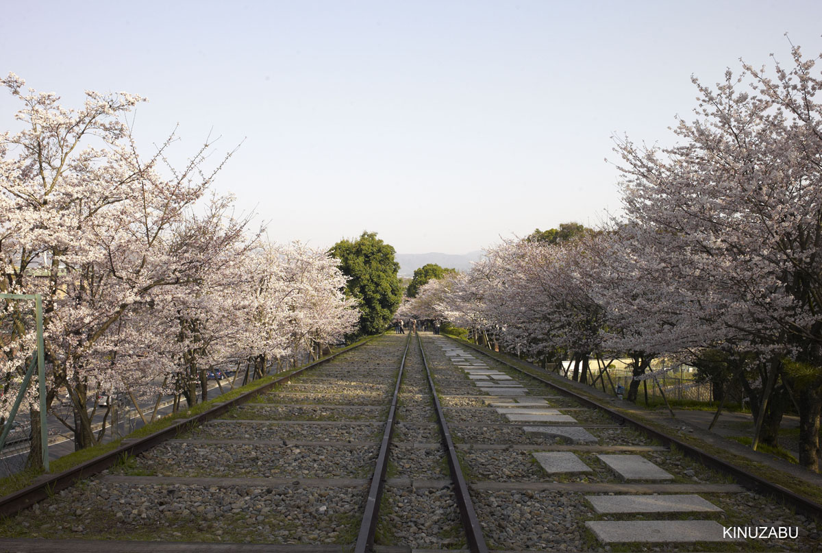 2010年京都の桜、インクライン-南禅寺-黒谷-岡崎
