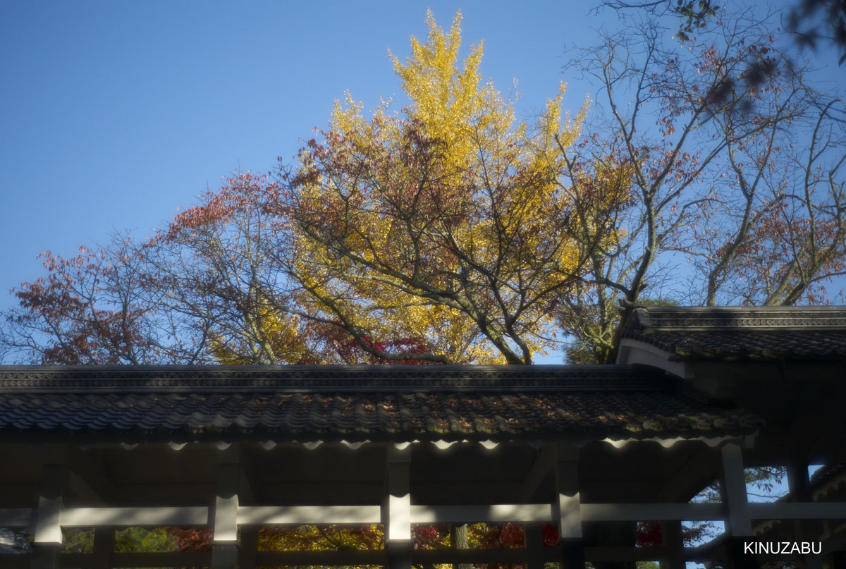 2010年京都南禅寺、黒谷、京都御苑の紅葉