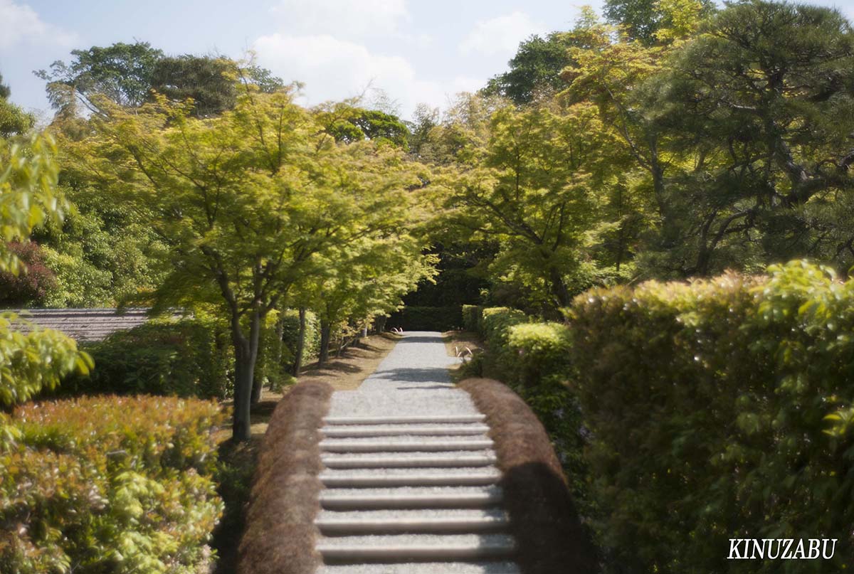 新緑の桂離宮参観、京都