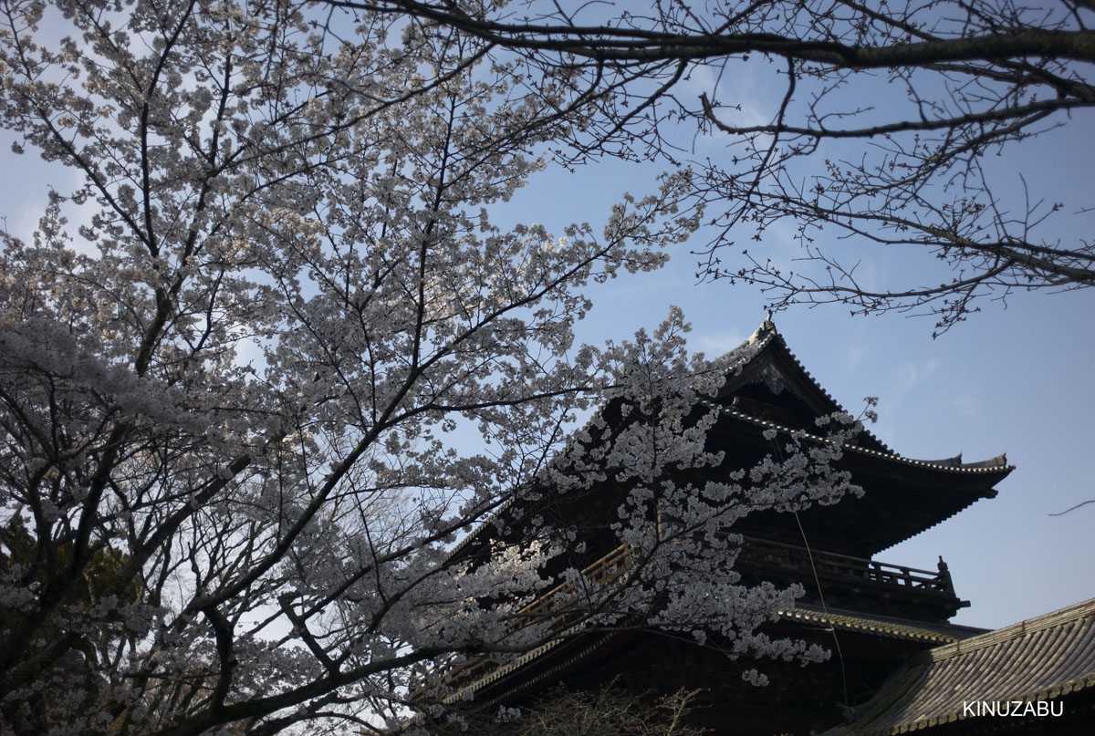 2010年京都の桜、インクライン-南禅寺-黒谷-岡崎