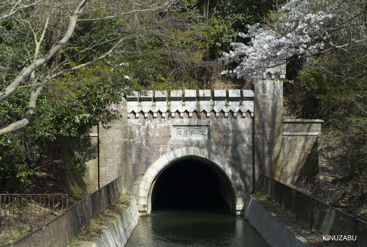 2010年山科疎水の桜