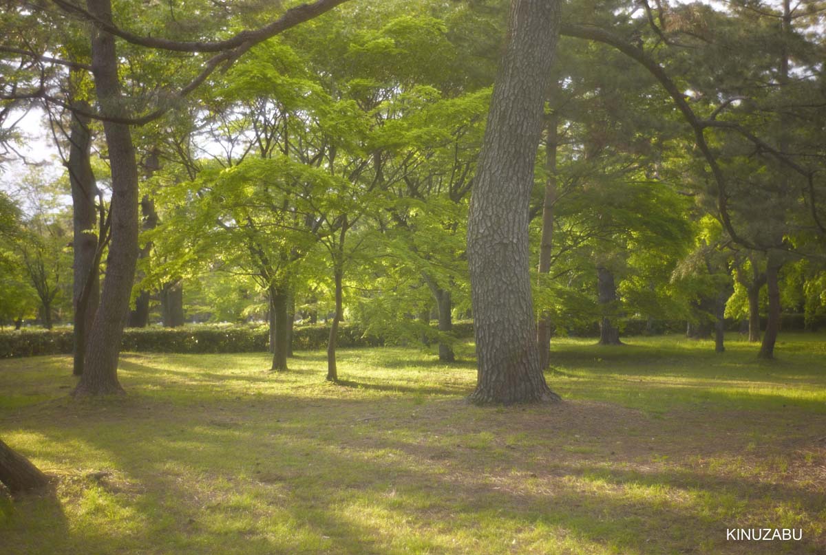 2010年京都の新緑