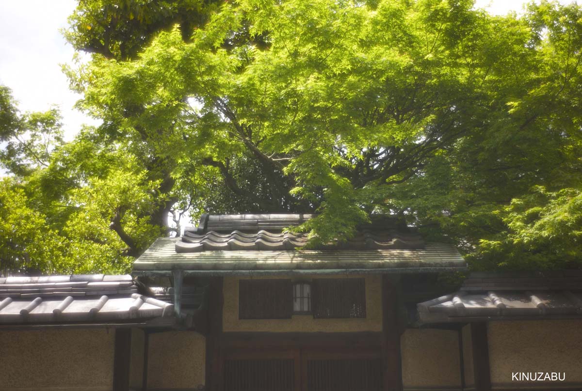 2010年京都の新緑