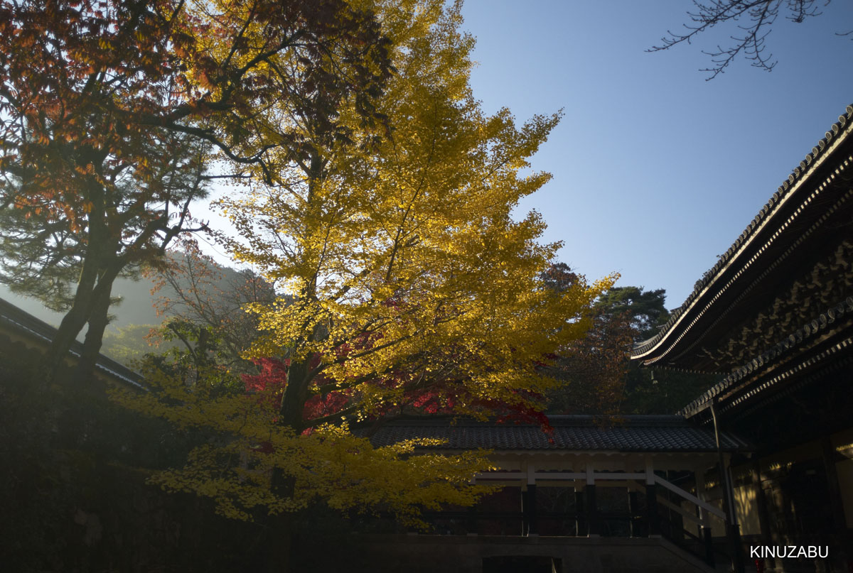 2010年京都南禅寺、黒谷、京都御苑の紅葉