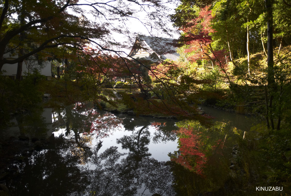 2010年京都南禅寺、黒谷、京都御苑の紅葉