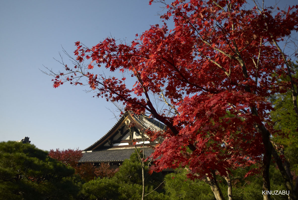 2010年京都南禅寺、黒谷、京都御苑の紅葉