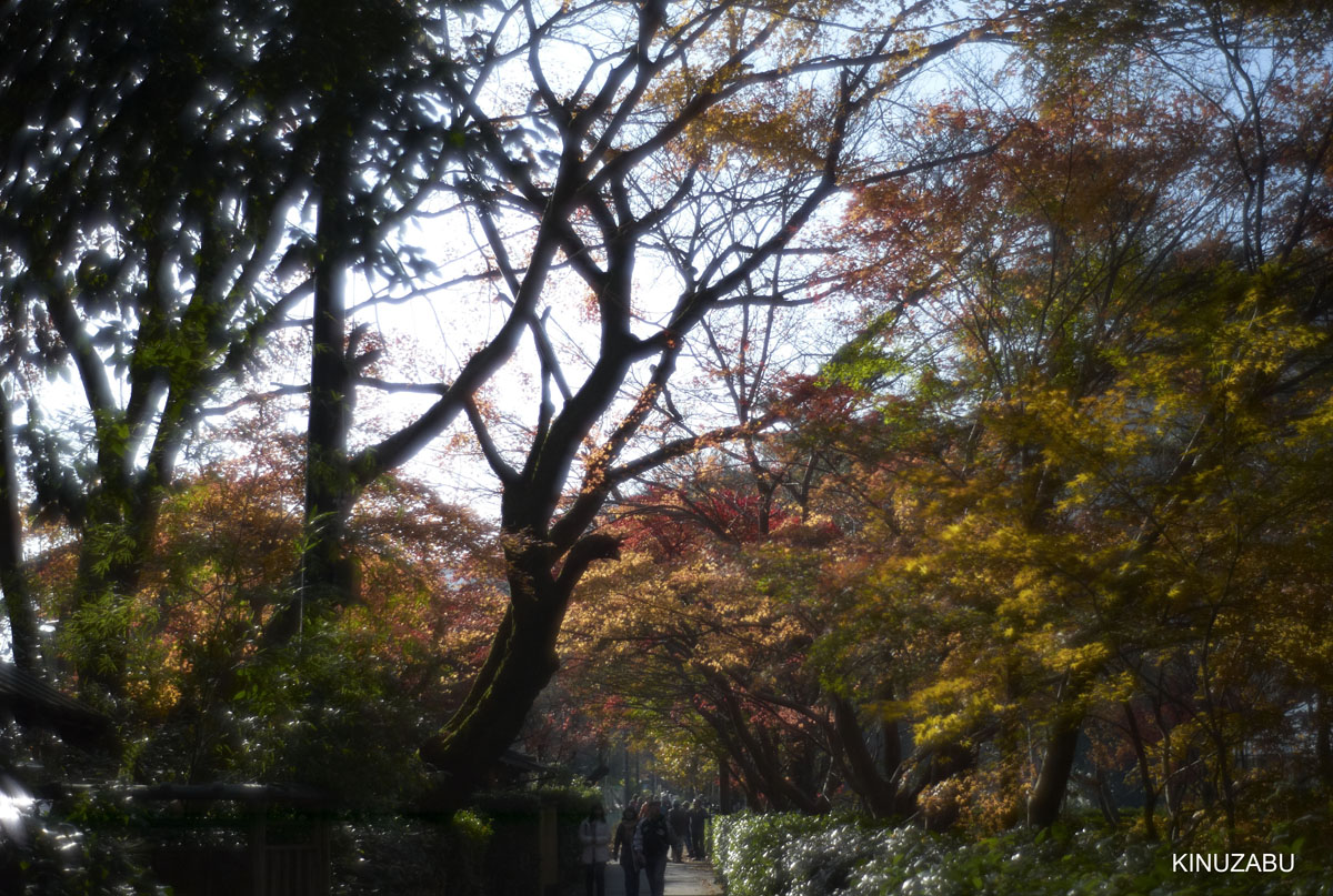 2010年嵯峨嵐山の紅葉