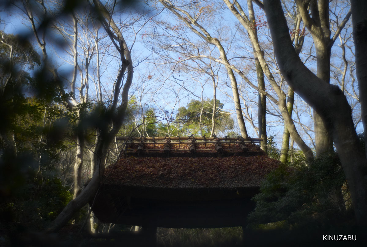 2010年嵯峨嵐山の紅葉