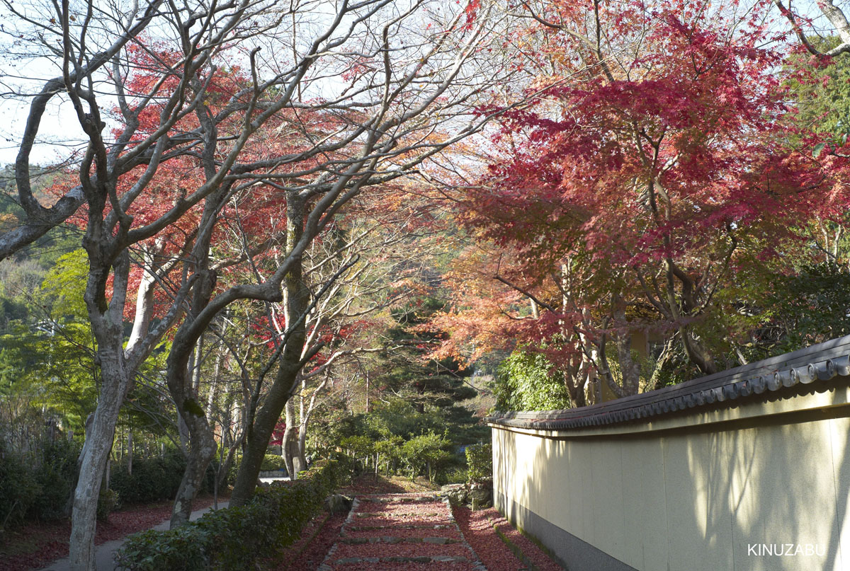 2010年嵯峨嵐山の紅葉