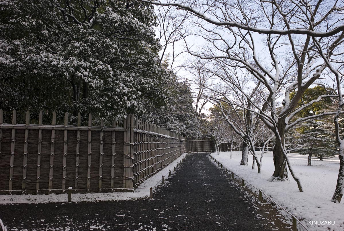 雪の桂離宮参観