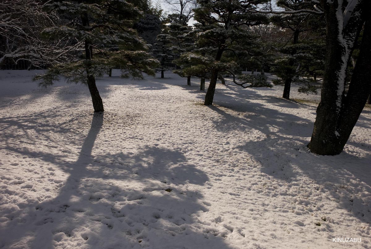 雪の桂離宮参観