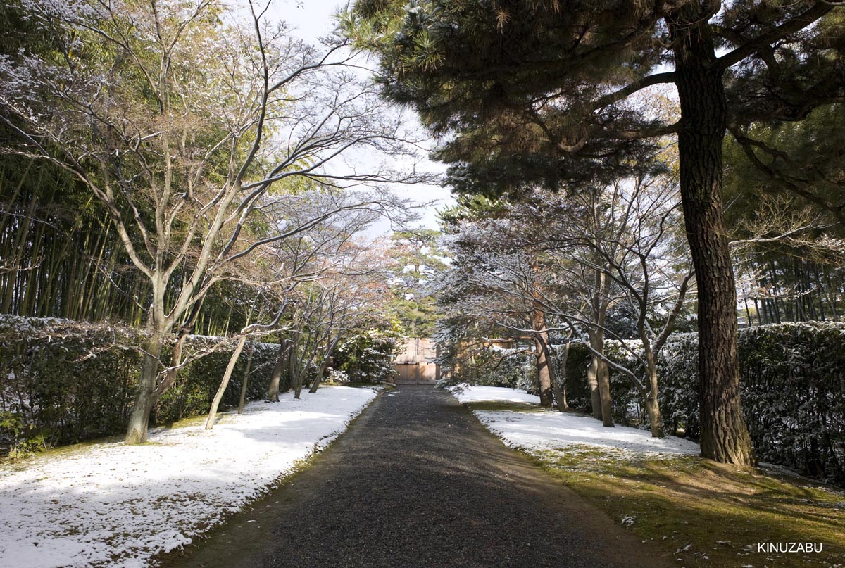 雪の桂離宮参観