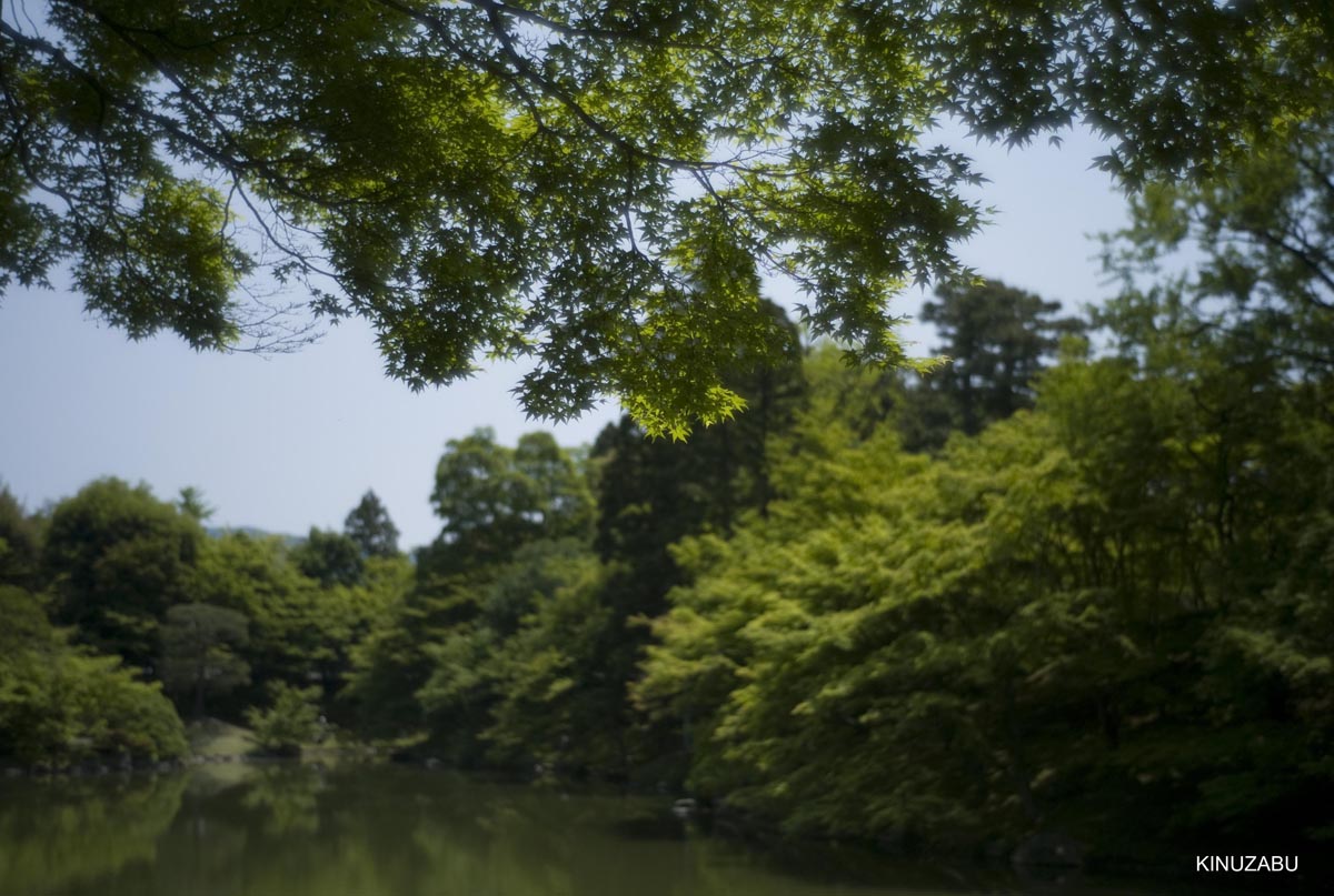 仙洞御所　参観　京都　宮内庁　京都御苑　新緑　5月