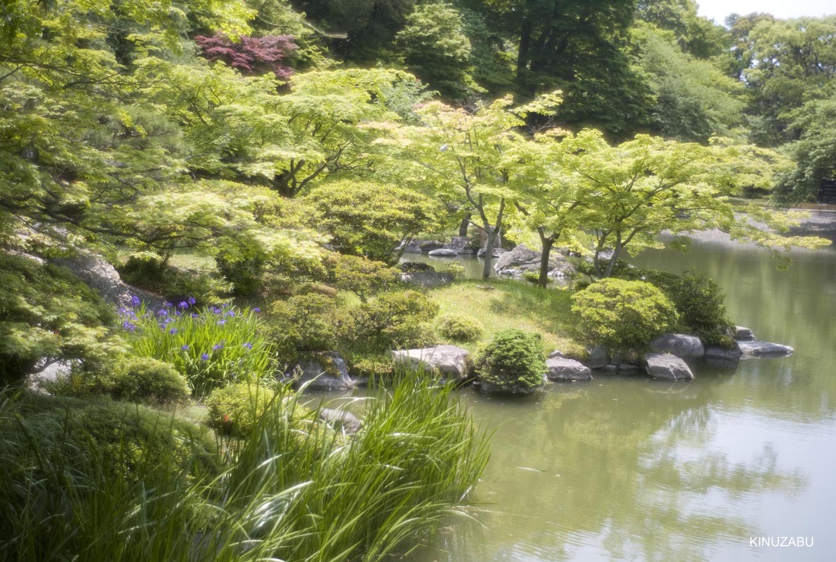 仙洞御所　参観　京都　宮内庁　京都御苑　新緑　5月