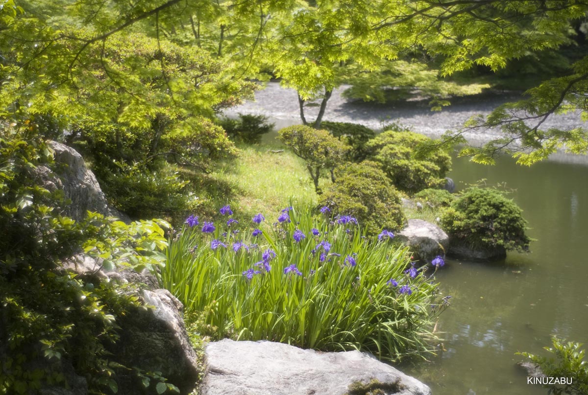 仙洞御所　参観　京都　宮内庁　京都御苑　新緑　5月