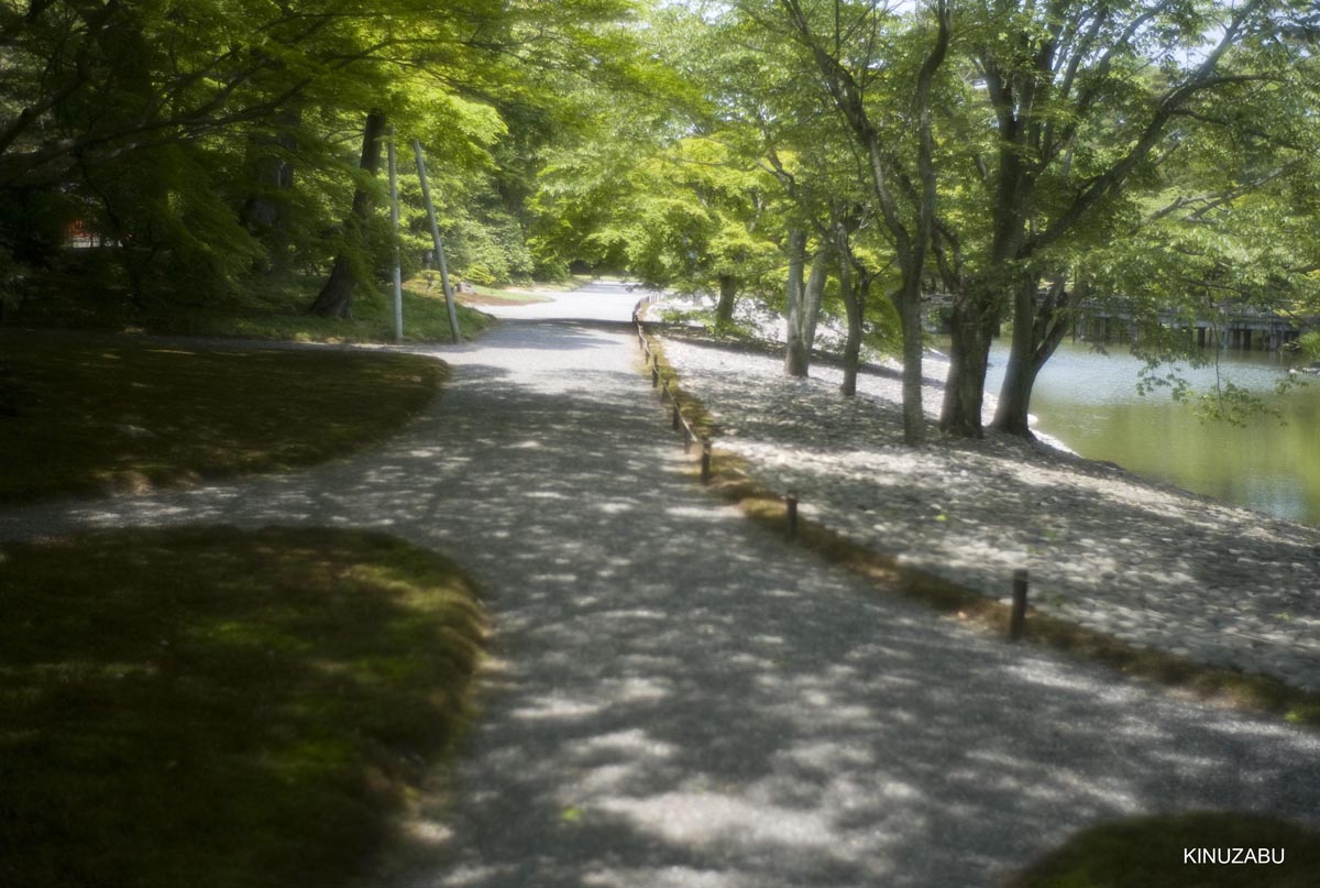 仙洞御所　参観　京都　宮内庁　京都御苑　新緑　5月