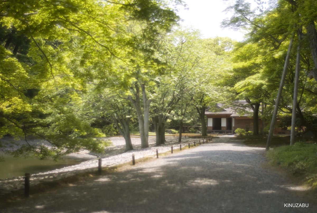 仙洞御所　参観　京都　宮内庁　京都御苑　新緑　5月