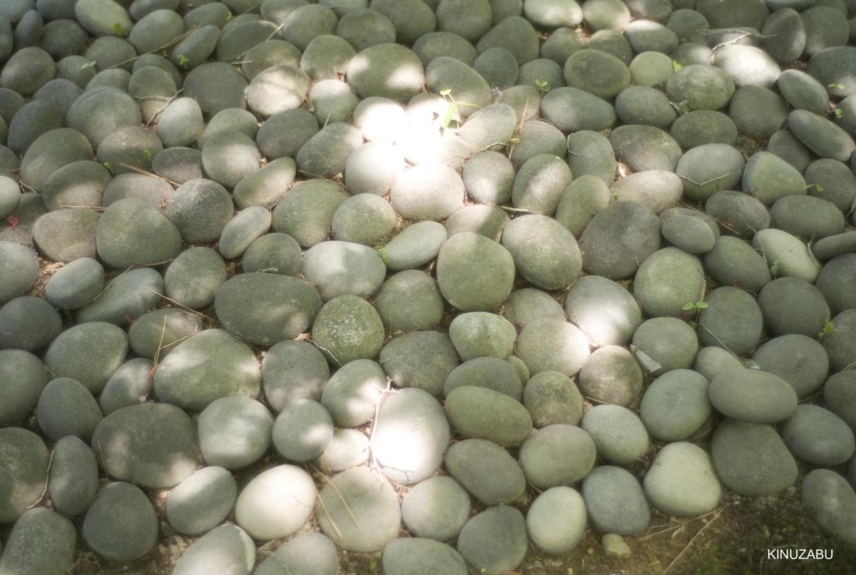 仙洞御所　参観　京都　宮内庁　京都御苑　新緑　5月