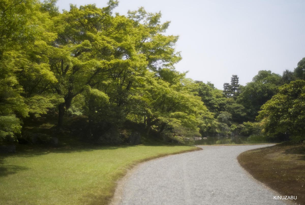 仙洞御所　参観　京都　宮内庁　京都御苑　新緑　5月