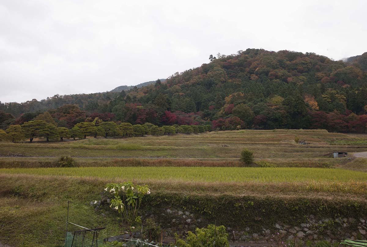 2012年修学院離宮の紅葉