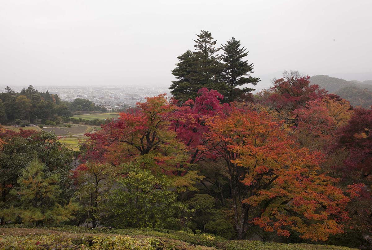 2012年修学院離宮の紅葉