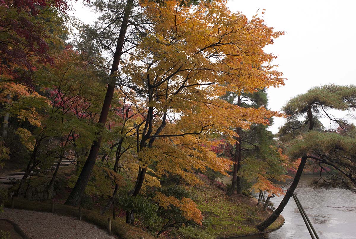 2012年修学院離宮の紅葉