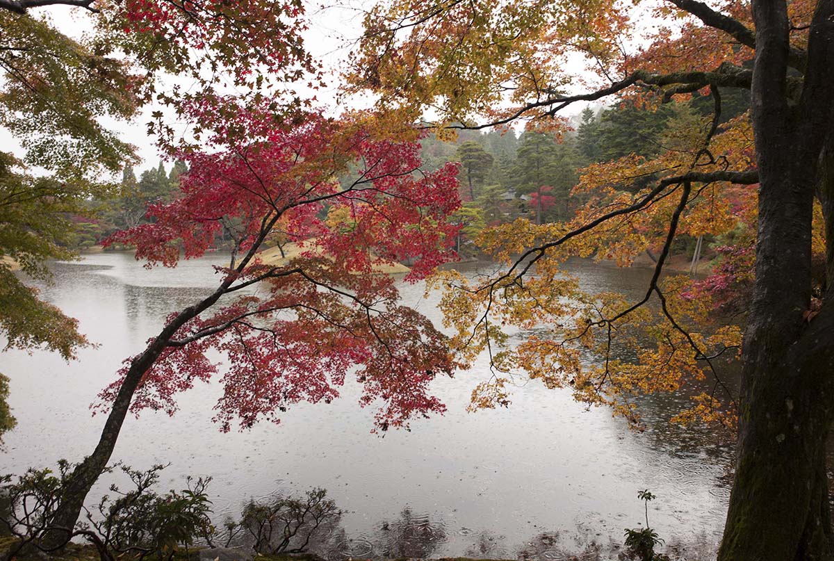 2012年修学院離宮の紅葉