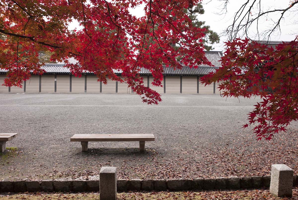 2012年京都御苑の紅葉