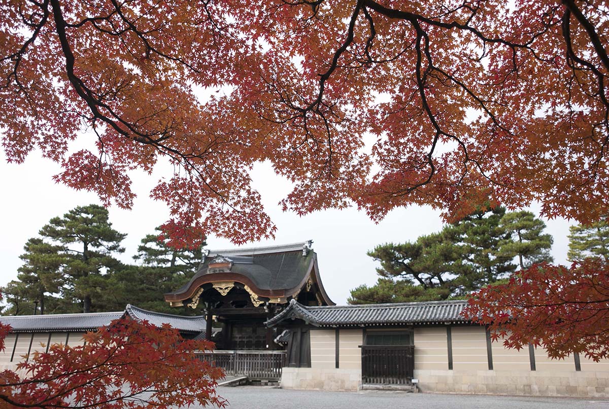 2012年京都御苑の紅葉