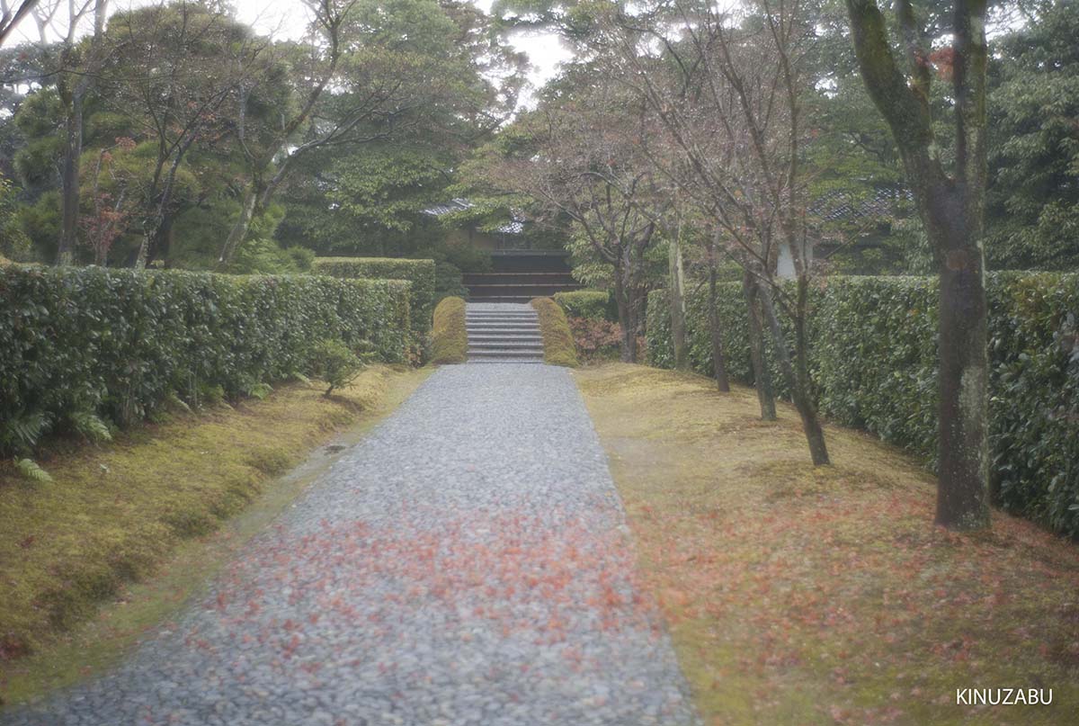 紅葉の終わった桂離宮