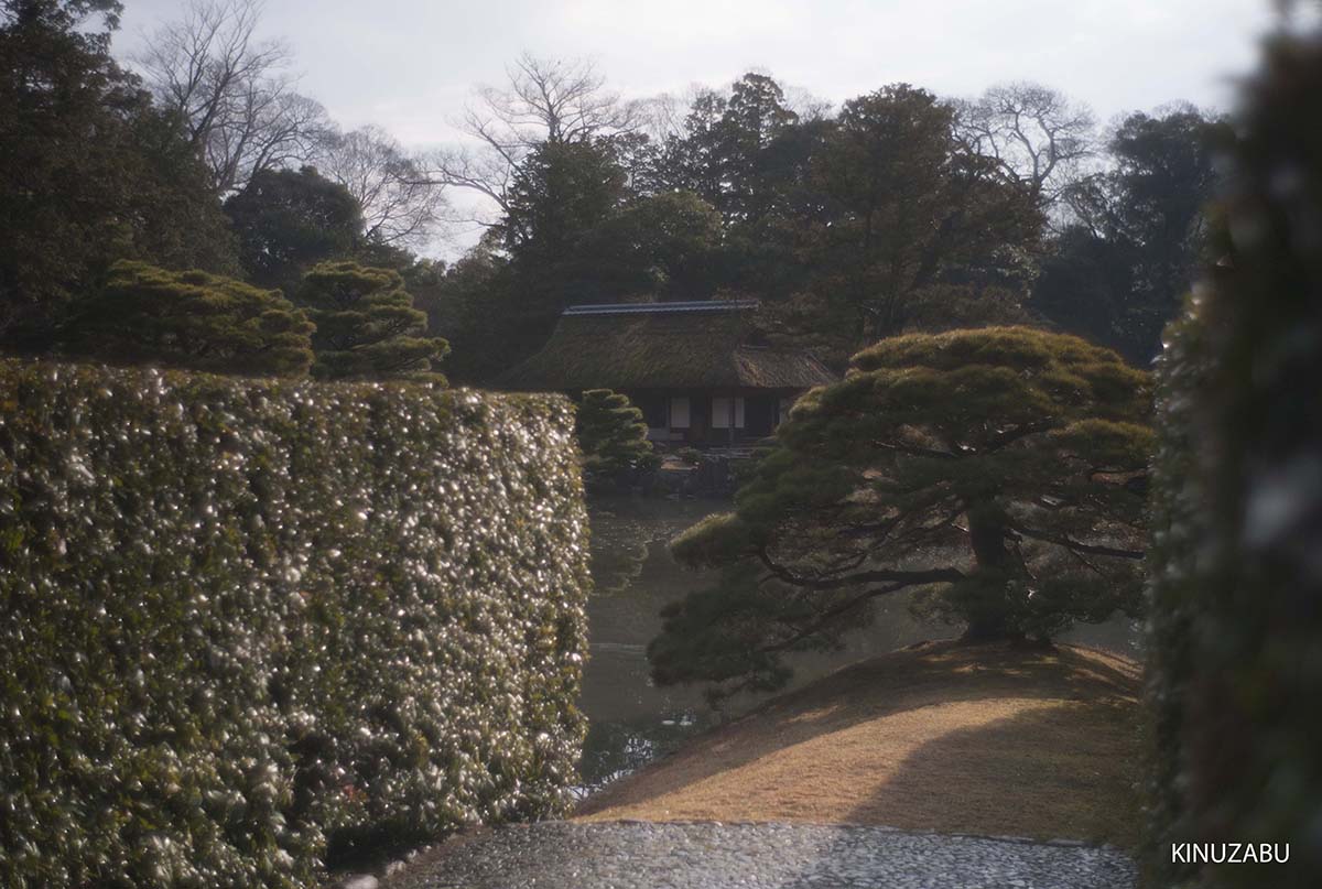 紅葉の終わった桂離宮