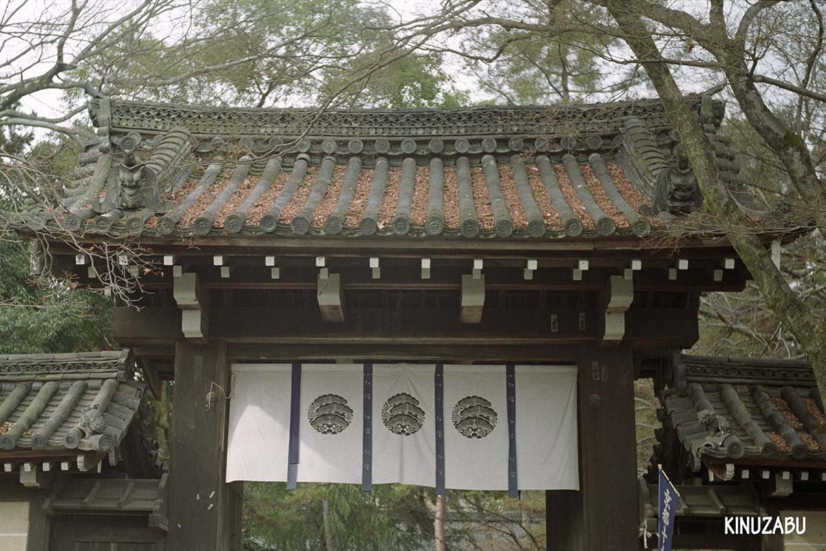 京都の街と今宮神社