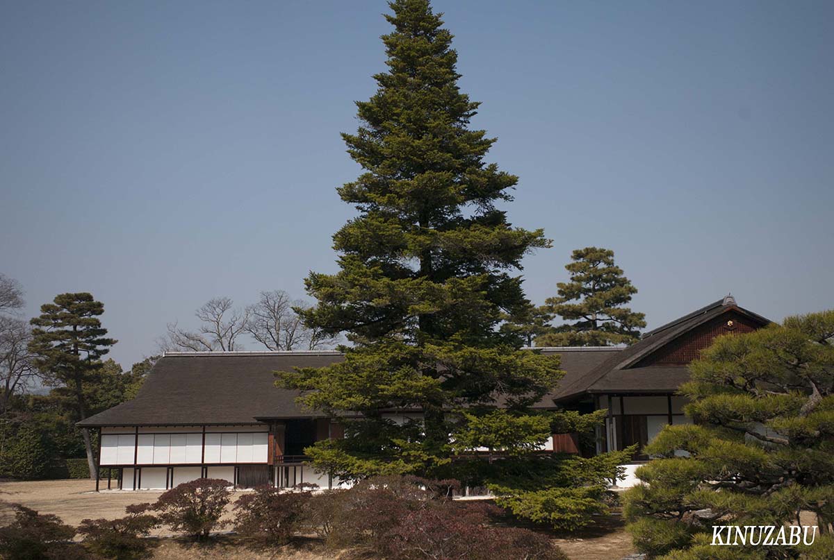 梅と桂離宮、京都