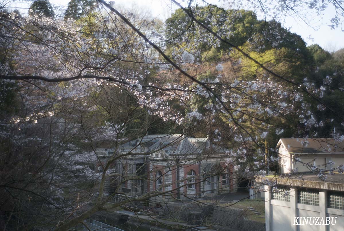 京都の桜：インクライン、南禅寺、野村美術館裏