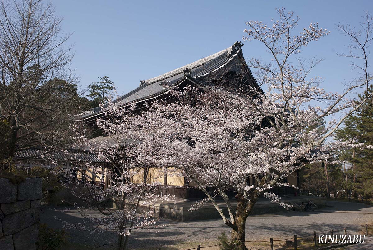 京都の桜：インクライン、南禅寺、野村美術館裏