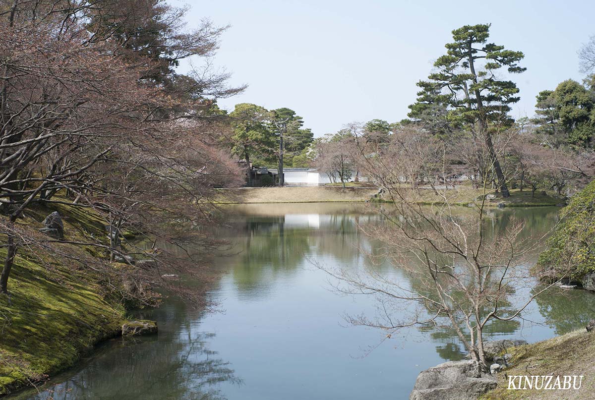 桜の仙洞御所、京都