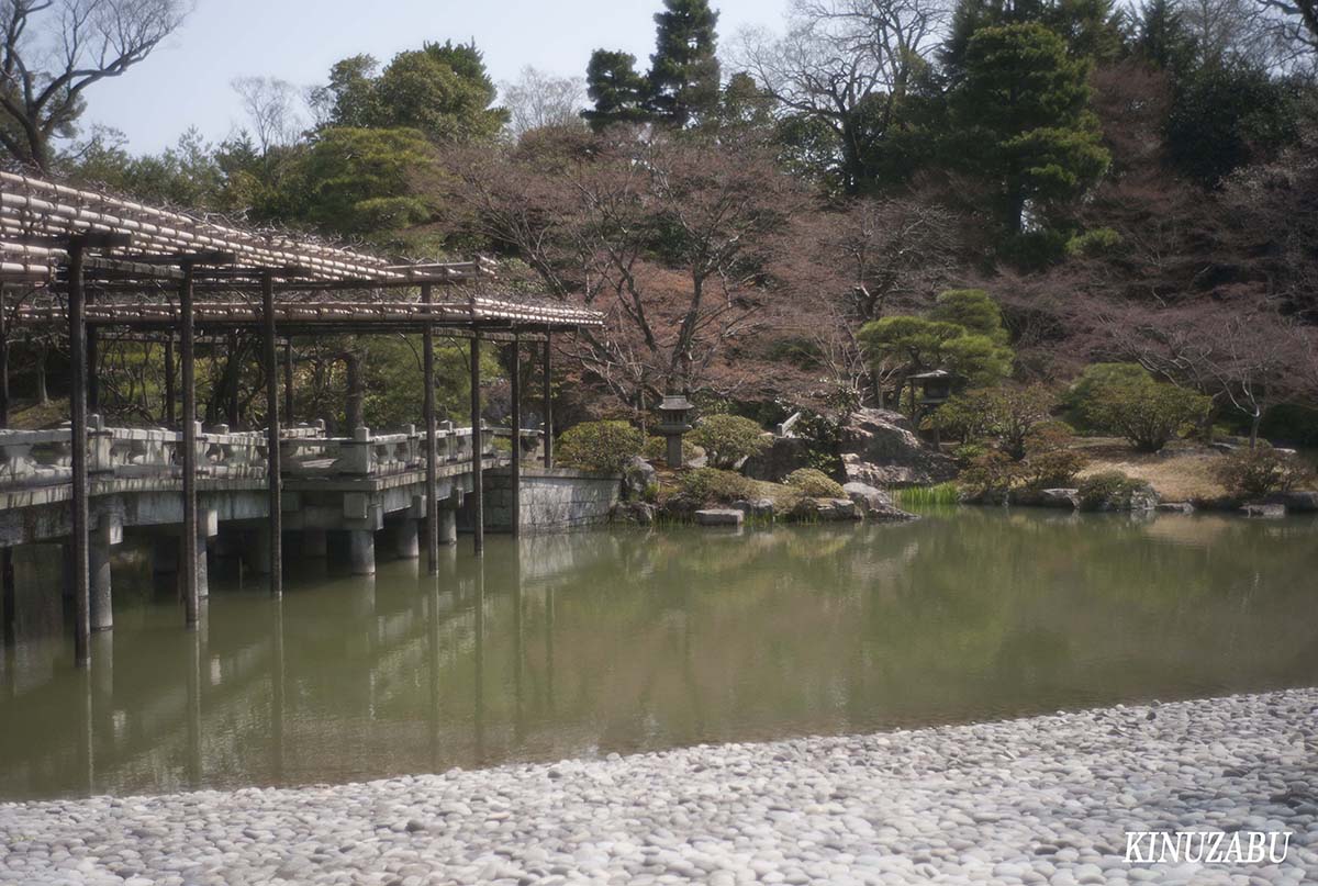 桜の仙洞御所、京都