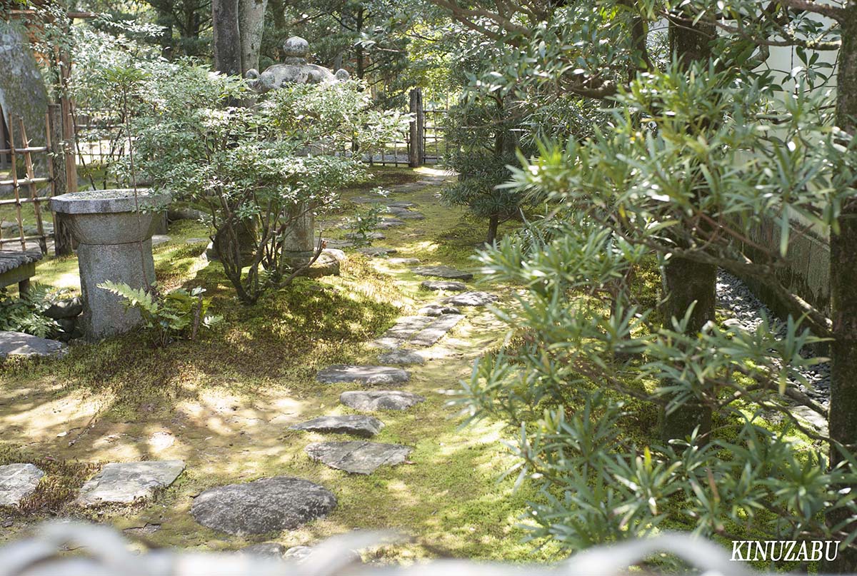 桜の仙洞御所、京都