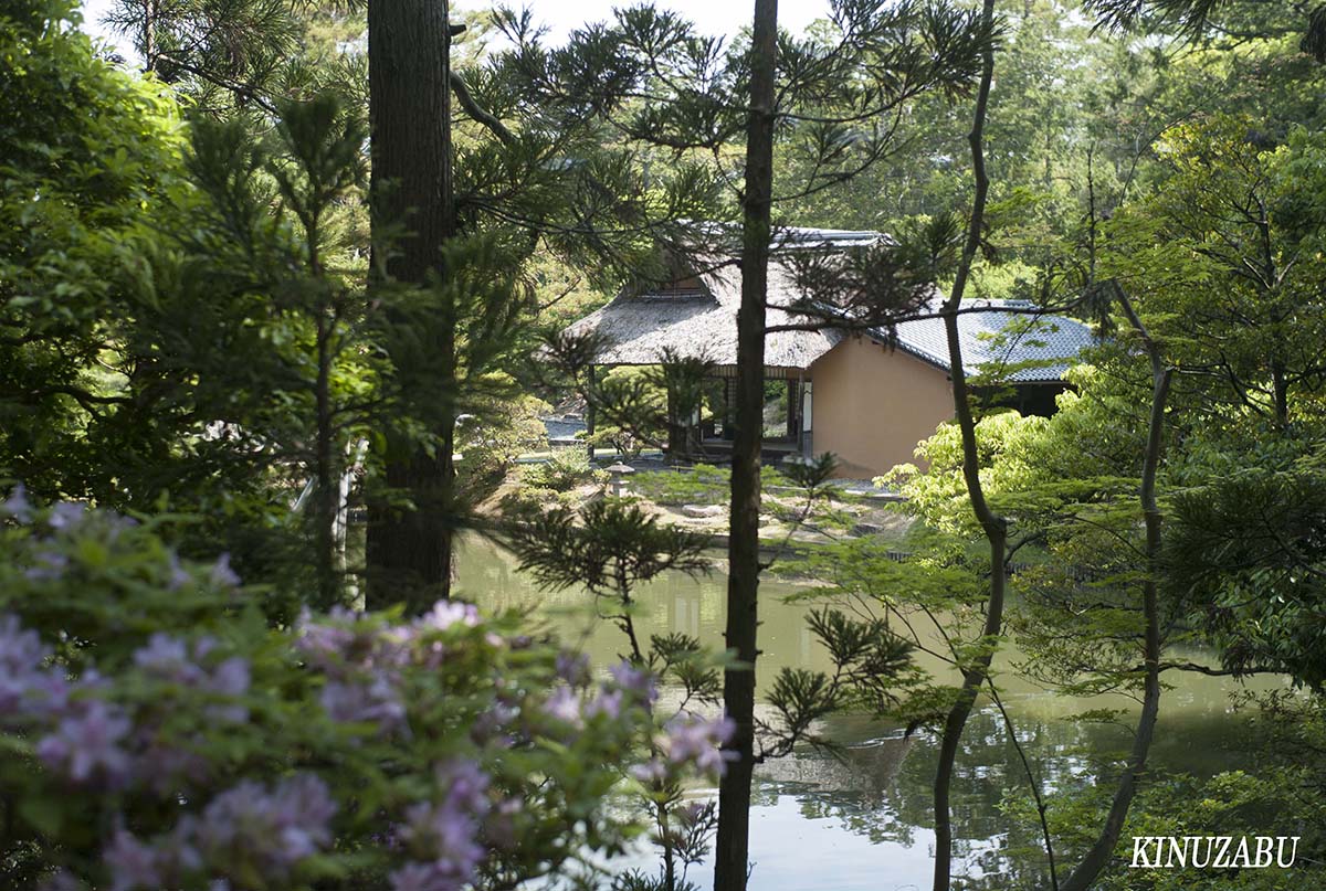 新緑の桂離宮参観、京都