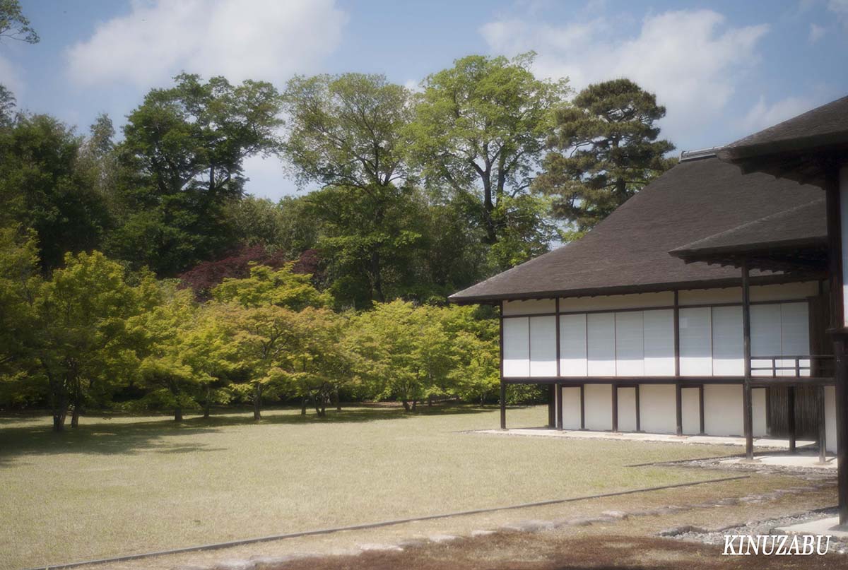 新緑の桂離宮参観、京都