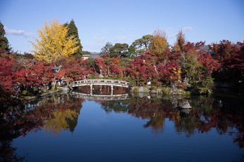 2024年の京都の紅葉