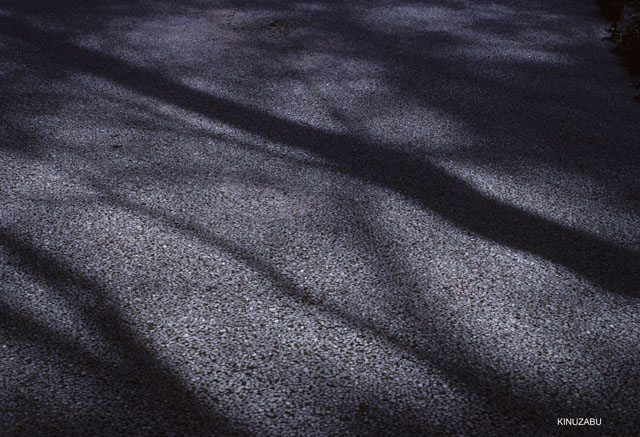 photo03