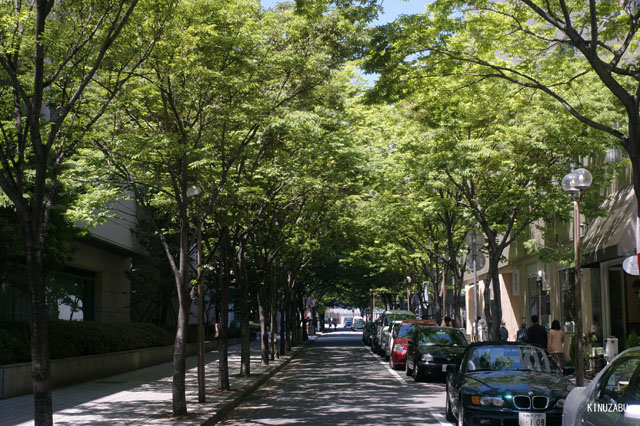 photo02