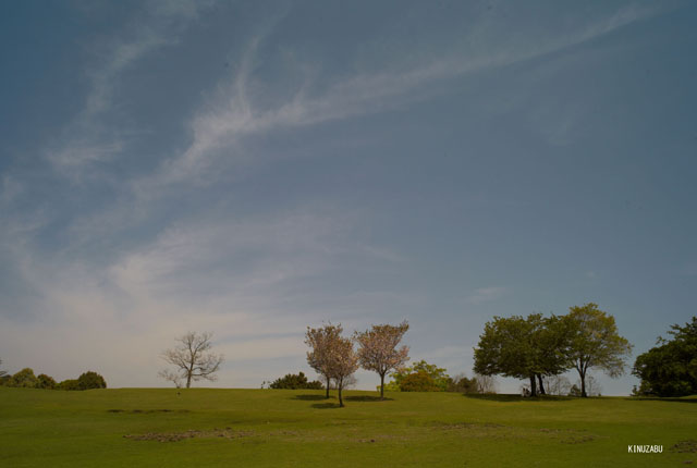 photo12