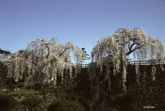 photo03