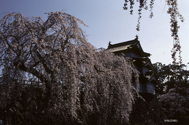 photo04
