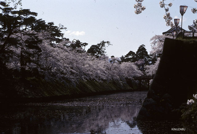 photo07