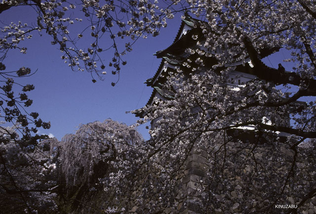 photo08
